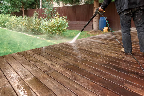 Best House Exterior Washing  in El Cenizo, TX