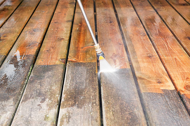 Best Fence Cleaning  in El Cenizo, TX